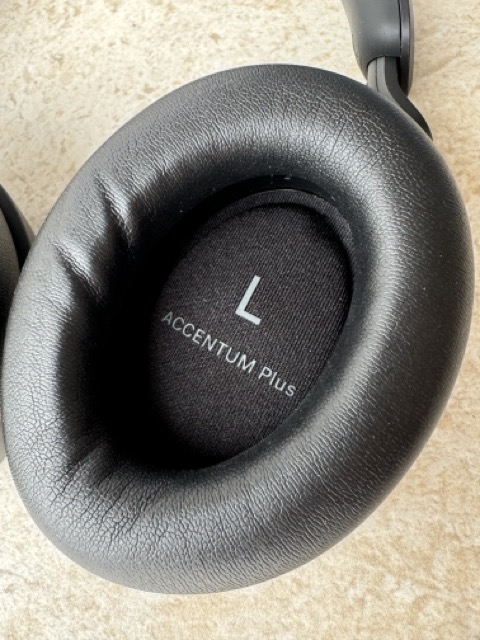 left-earcup.jpeg