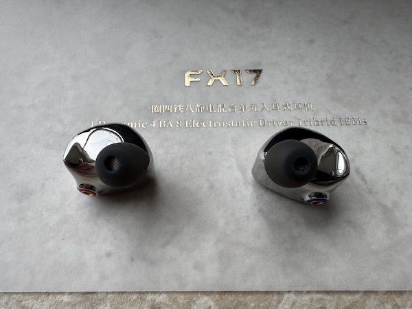 iem-shells3.jpg