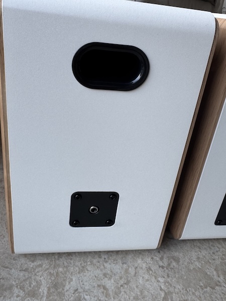 back-speaker-small-bass-port.jpg