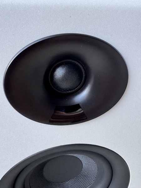 tweeter-with-light-area-underneath.jpg