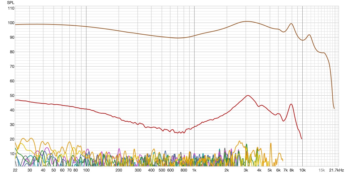 Kiwiears Belle Distortion.jpg