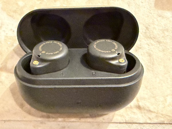 case open with earbuds seated inside