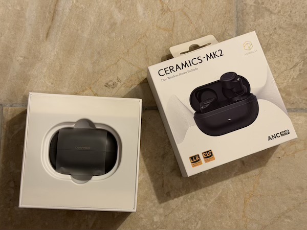 open box with earbuds visible