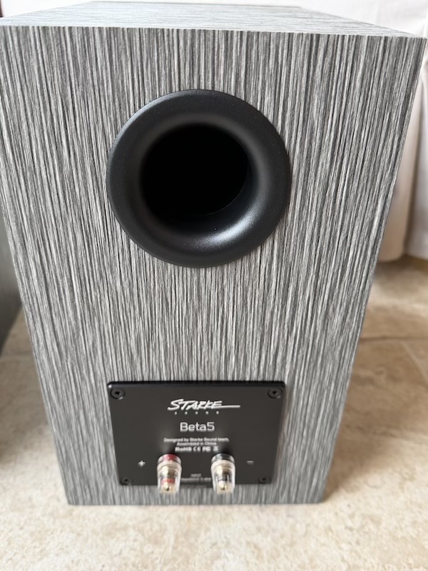 wider rear panel view