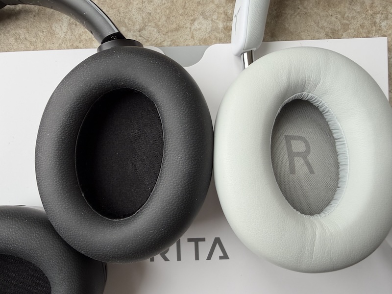 Rita vs RoseSelsa Cambrian — Cambrian is noticeably larger