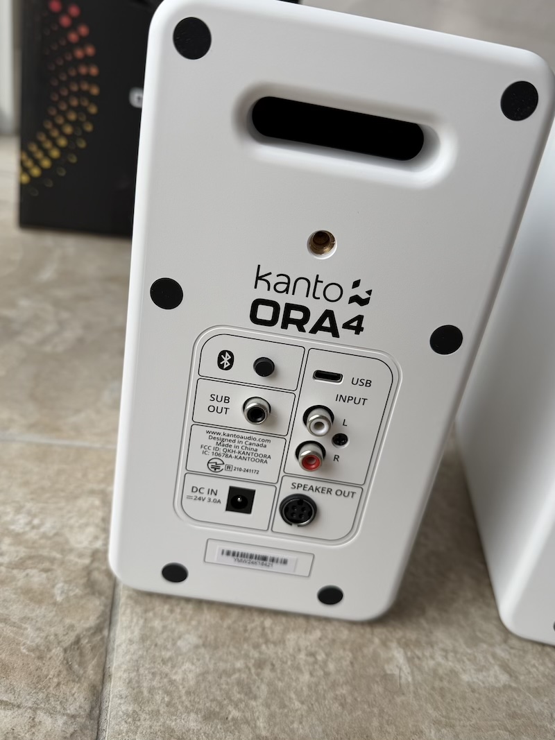 passive speaker rear with connections visible