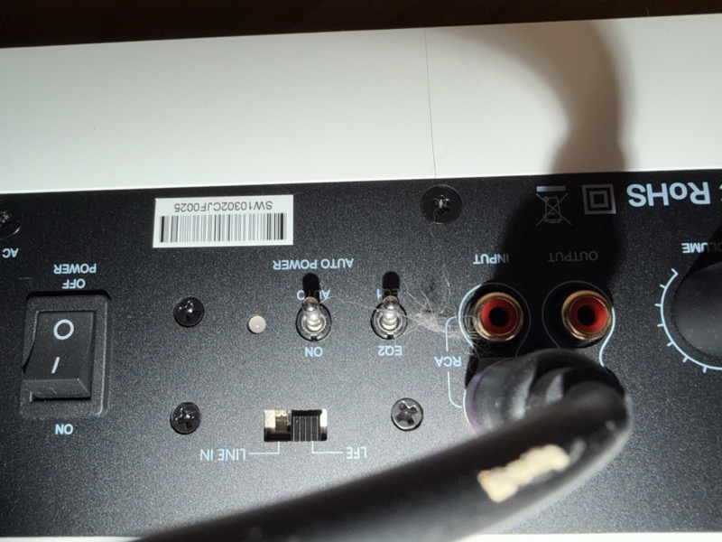 SW10 RCA inputs and switches