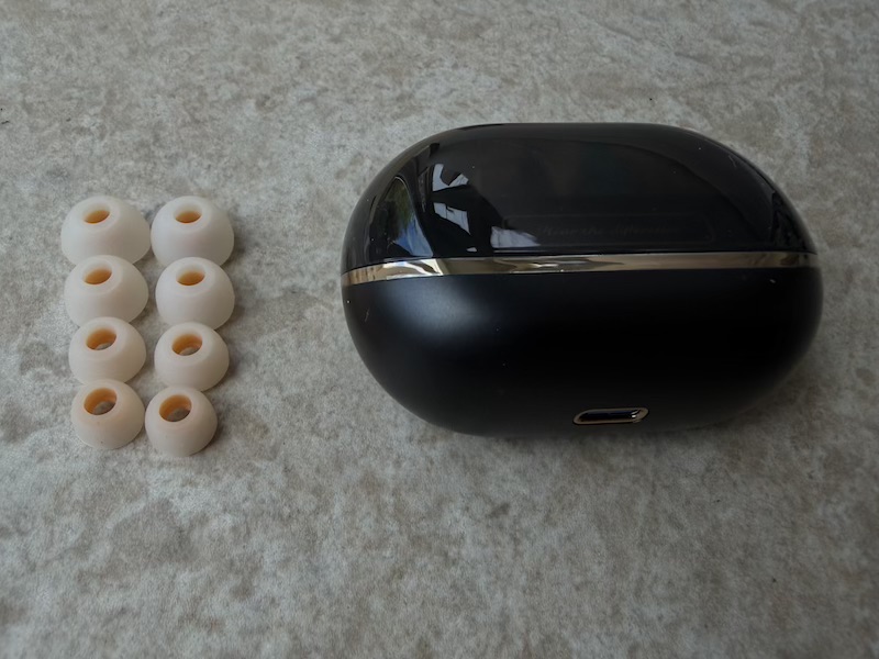 eartips alongside case for size context