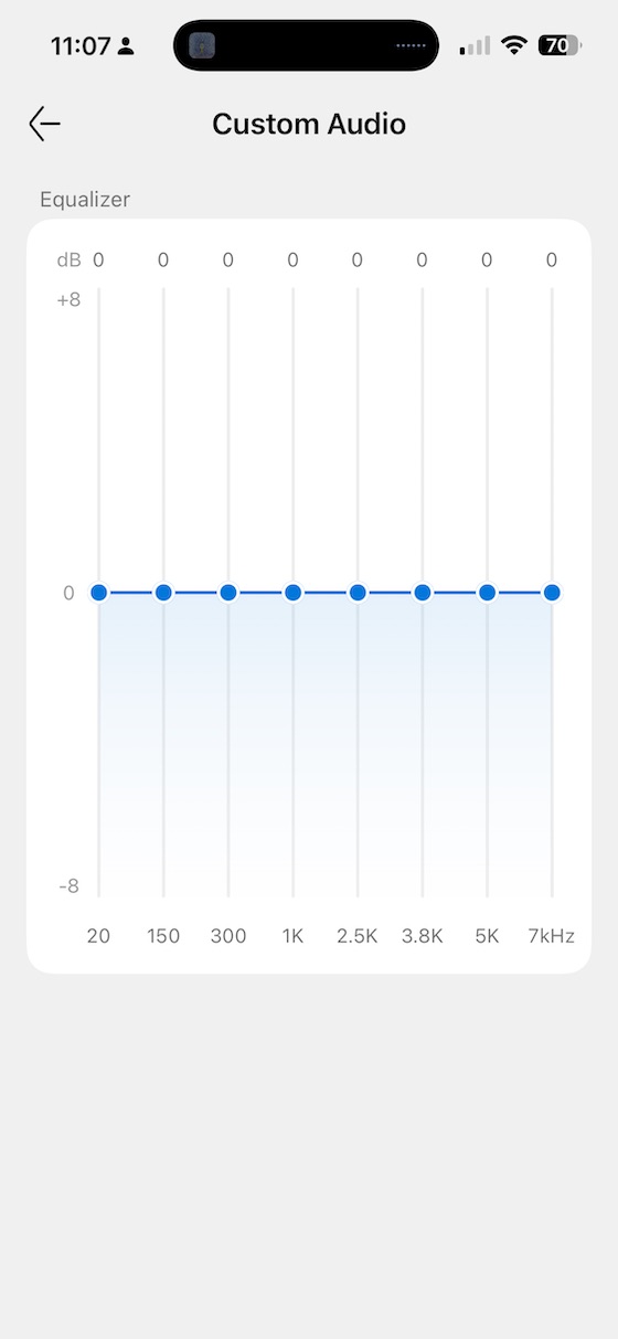 Custom Audio — 8-band EQ with bands at 20, 150, 300, 1K, 2.5K, 3.8K, 5K, 7kHz