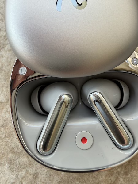 case open showing earbuds and red record button