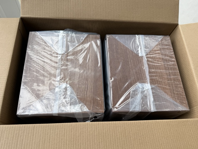 the two speakers still wrapped in plastic inside the box