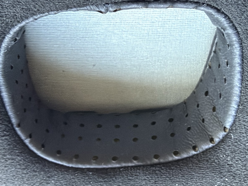 the earpad interior with the driver mesh visible