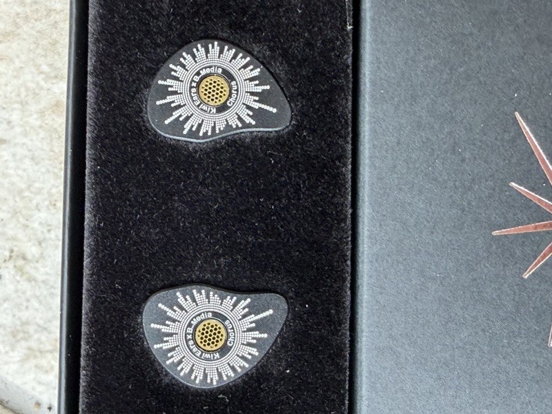 IEM faceplates in foam