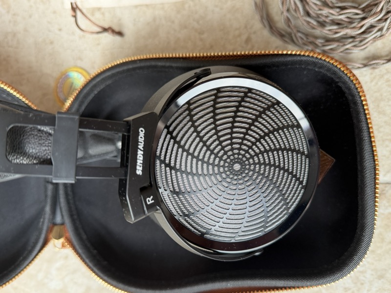 the sunburst metal mesh grille over the planar driver, seen through the case opening