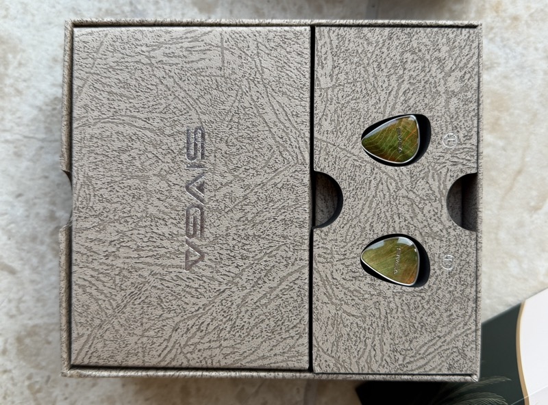 the earpieces seated in the inner box