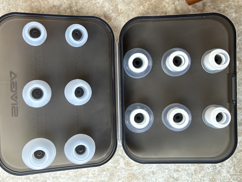 the eartip case holding six pairs
