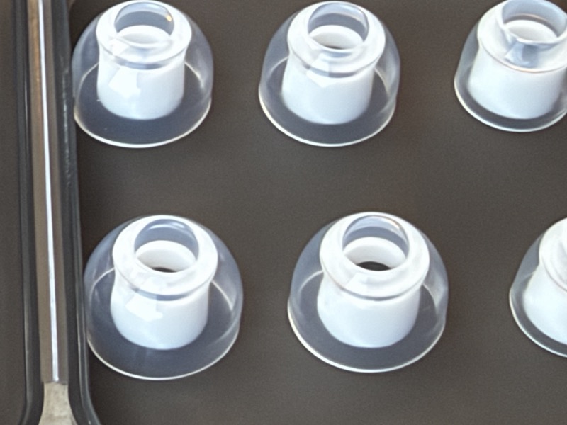 a closer look at the eartips in the tray