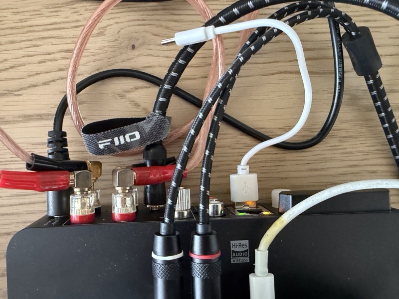 the rear panel with speaker cable, rca and usb-c connected