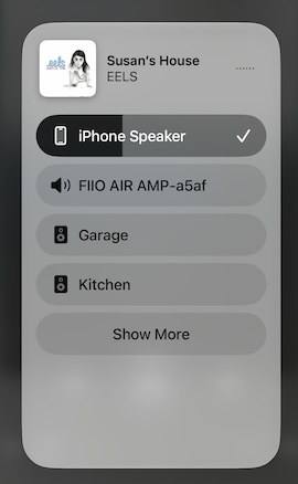 the air amp appearing in the ios airplay output list