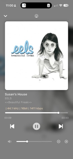now playing screen showing susan’s house by eels at 44.1 khz 16 bit