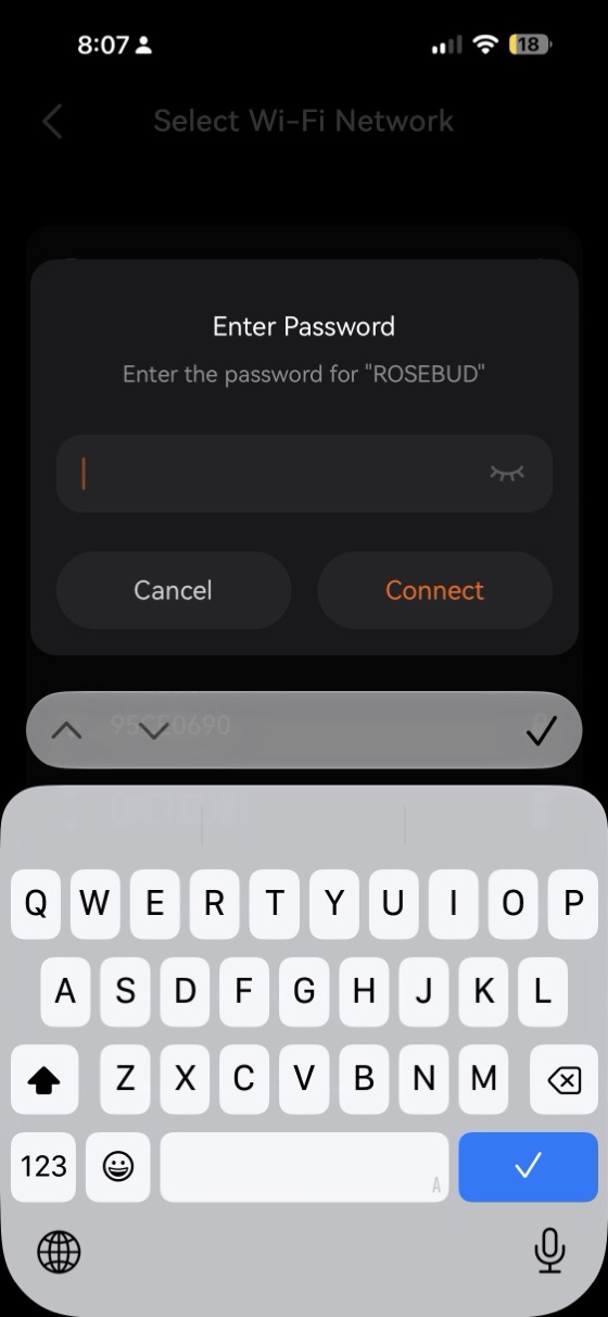 entering the wi-fi password during setup